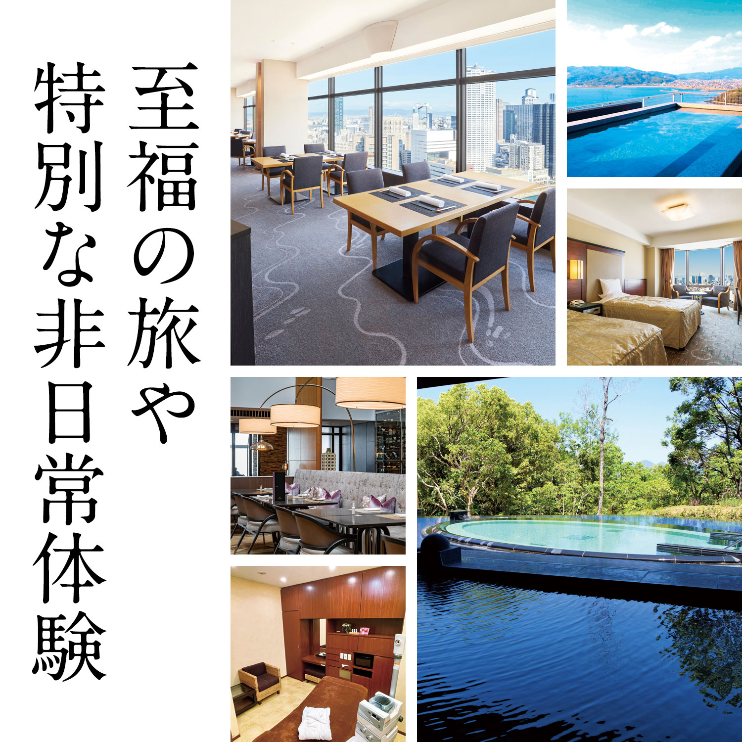 2025最新のスタイル カタログギフト 【TSUNAGU | Luce〈カプリコーン〉 MUSUBI アート・デザイン・音楽