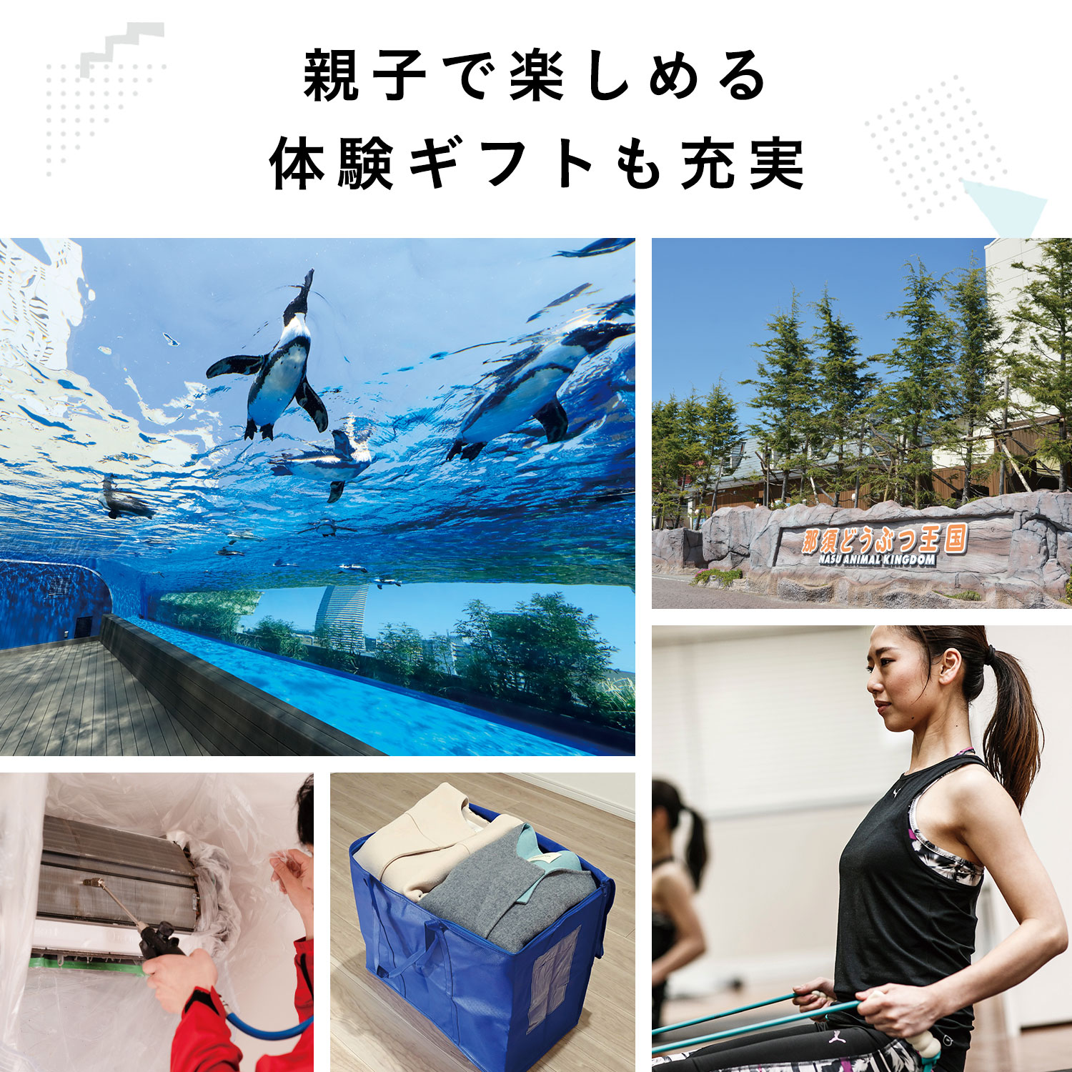 カタログギフト はっぴいパレード〈Happy Earth〉※販売終了