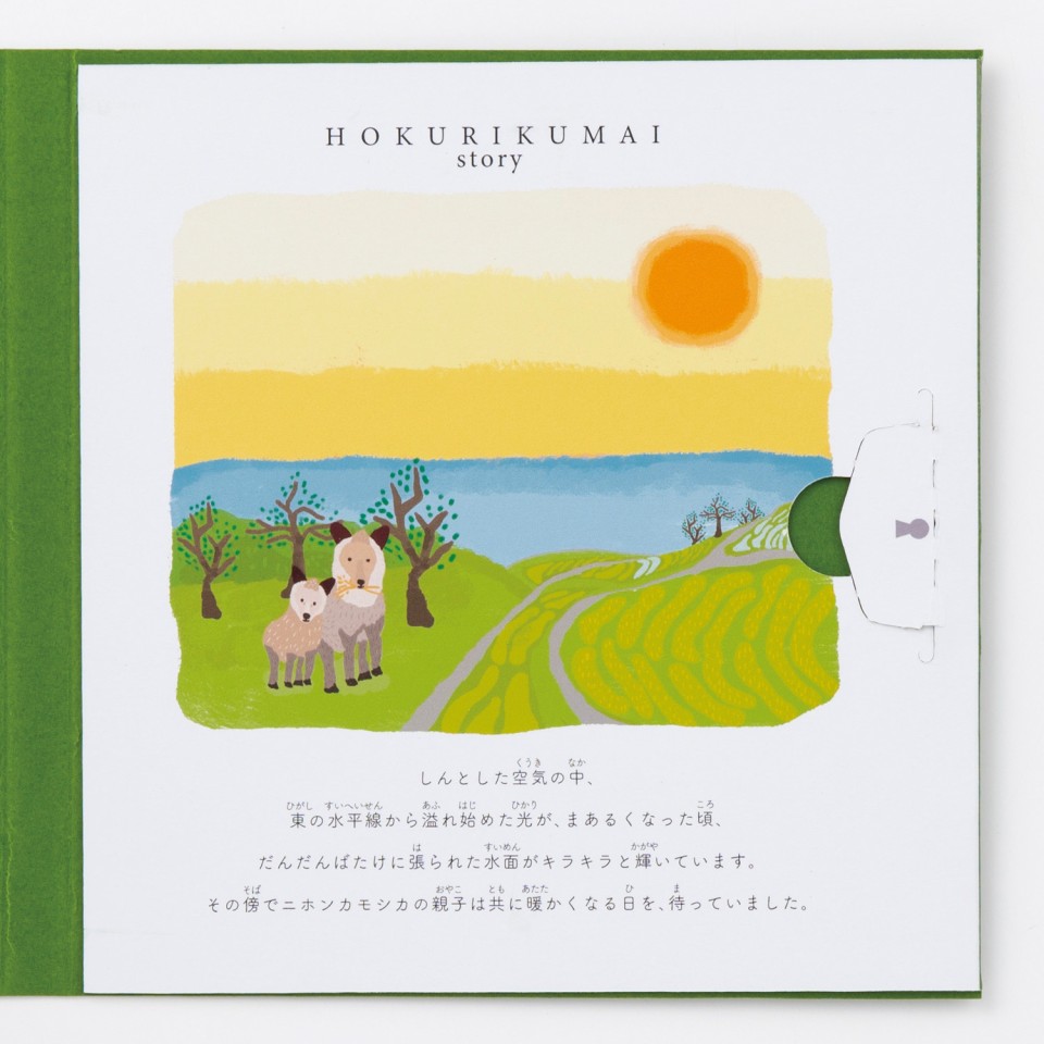 店内商品がすべてレジにて半額!! MAIstory SENSHUKAI】出産内祝い・結婚 【TSUNAGU | 北陸米物語 白米・胚芽米