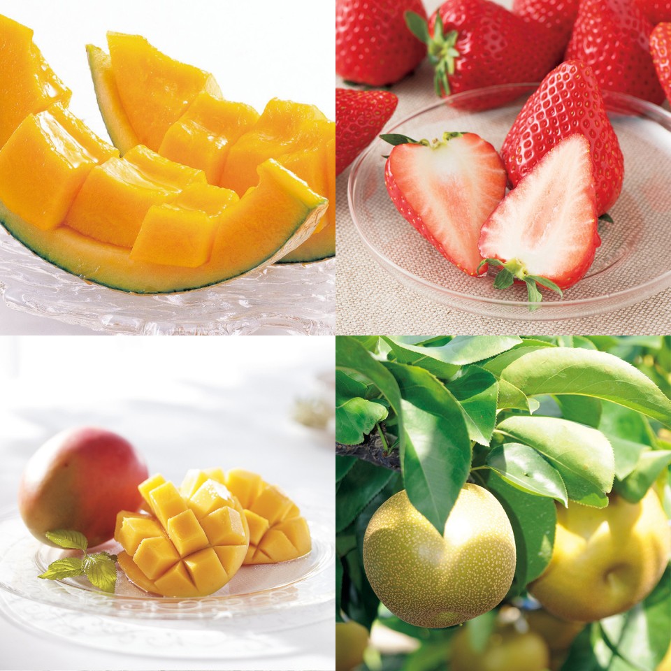 カタログギフト フルーツの贈り物 たわわコース | 【TSUNAGU SENSHUKAI